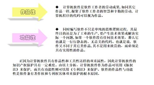 計(jì)算機(jī)軟件知識(shí)產(chǎn)權(quán)與保護(hù) 技術(shù)開(kāi)發(fā)中的核心議題